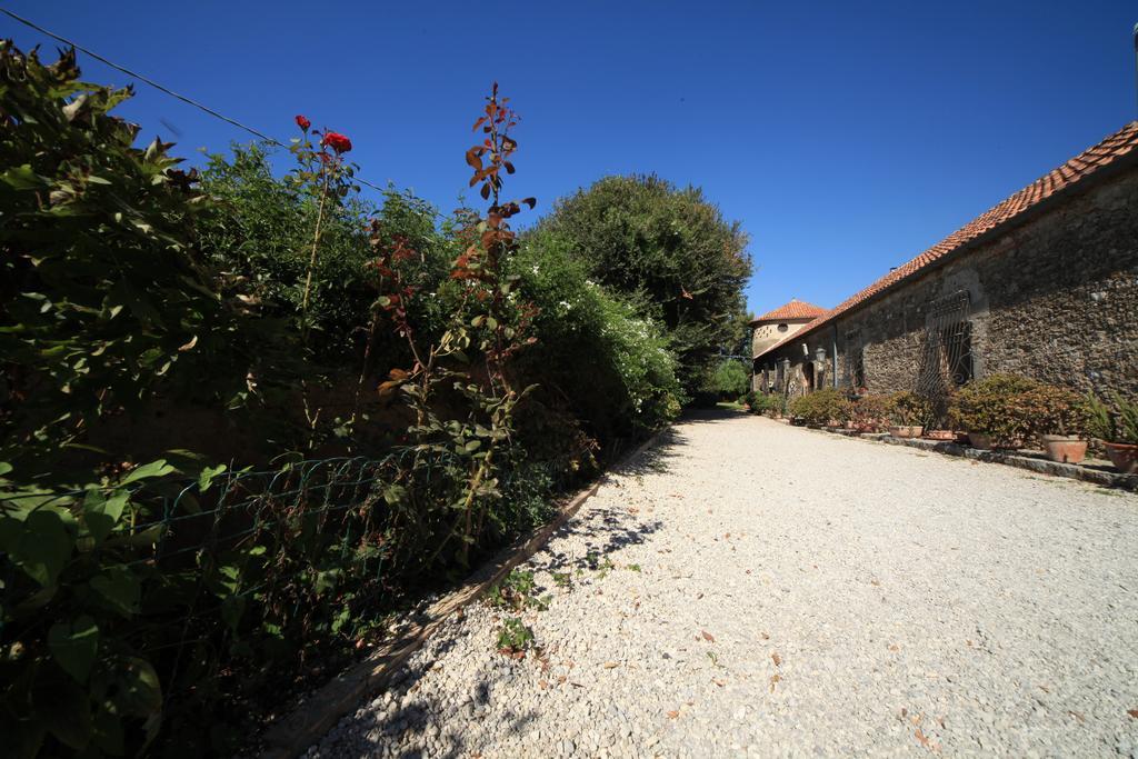 Azienda Agrituristica Seliano Paestum Dış mekan fotoğraf