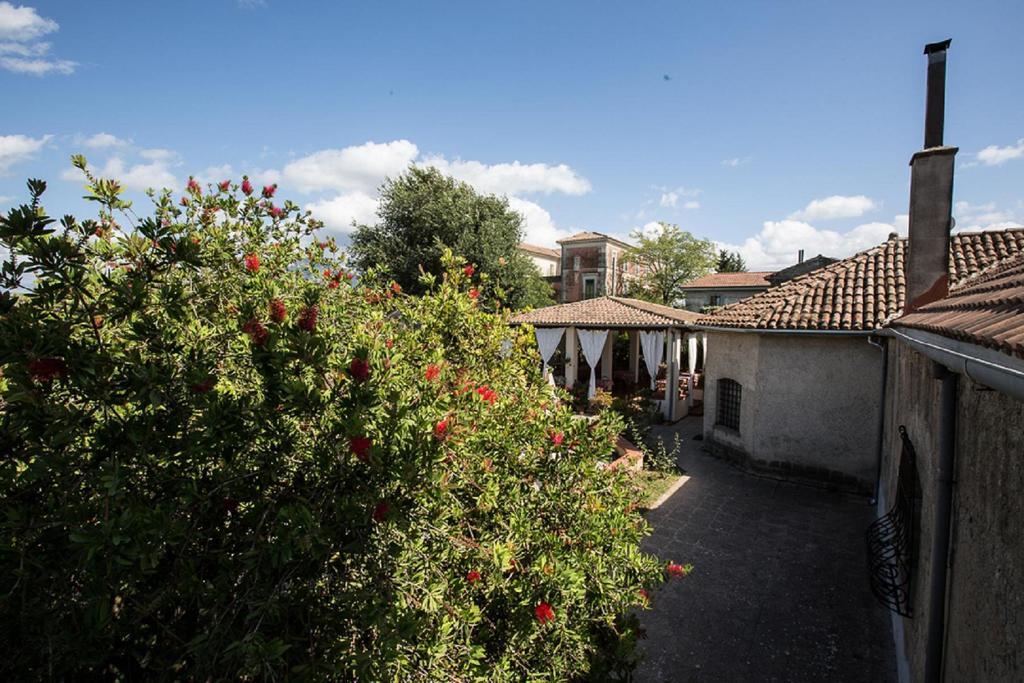 Azienda Agrituristica Seliano Paestum Oda fotoğraf